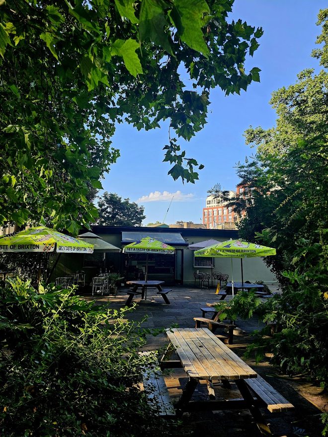 The garden terrace through tree branches under blue sky